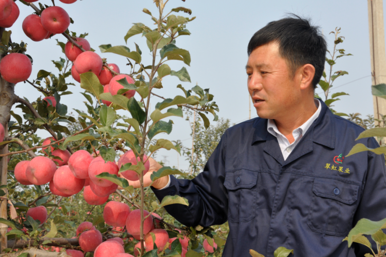 Cuihong fruit Yue Jiandong: the first "top ten" new professional farmer in the city(图1)