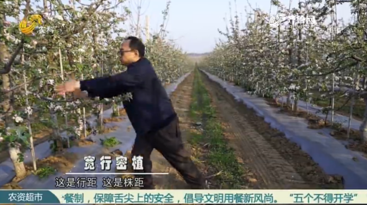 Intensive technology makes Apple demonstration garden(图2)