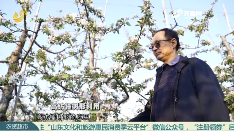 Intensive technology makes Apple demonstration garden(图3)