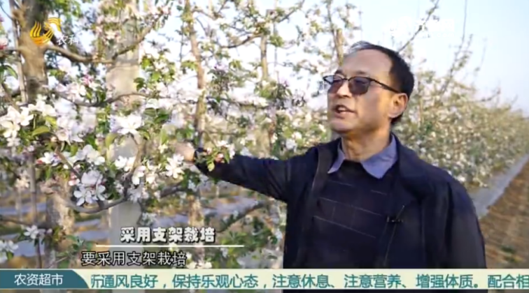 Intensive technology makes Apple demonstration garden(图4)