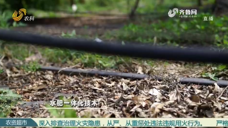 Intensive technology makes Apple demonstration garden(图7)