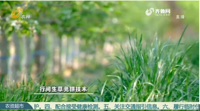 Intensive technology makes Apple demonstration garden(图6)