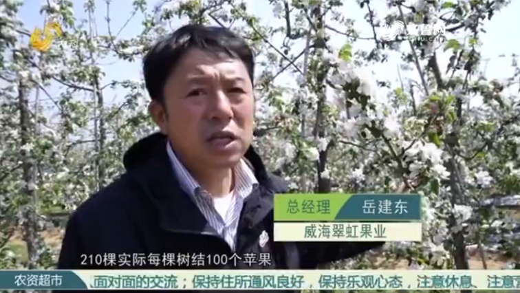 Intensive technology makes Apple demonstration garden(图8)